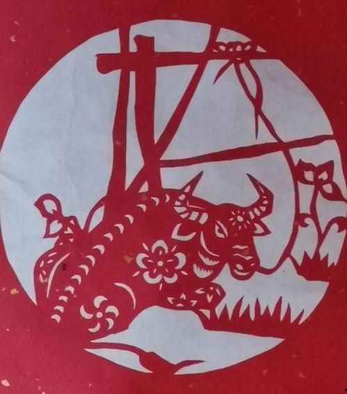 窗花在线观看,感受传统民俗魅力